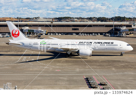 JAL JA868J大気汚染コントロール特別塗装機 133974624