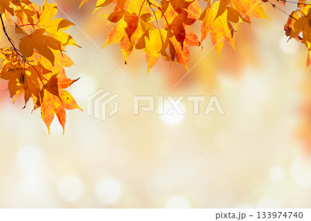 Colorful abstract fireworks on purple background illustration 133974740