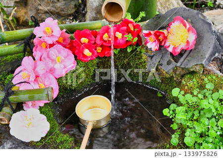 京都 大豊神社 美しい椿の手水(京都府京都市左京区) 京都 大豊神社 美しい椿の手水(京都府京都市左京区) 133975826