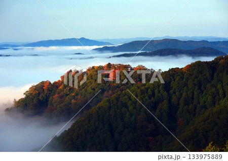 紅葉の天空の山城2405 紅葉の天空の山城2405 133975889