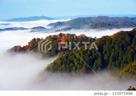 紅葉の天空の山城2426 133975890