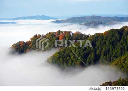 紅葉の天空の山城2503 紅葉の天空の山城2503 133975892