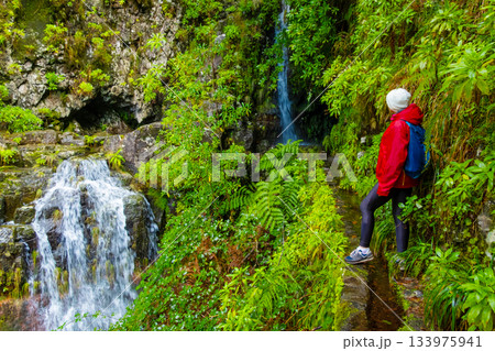 Travelers explore the beautiful levada trails in Madeira, experiencing the breathtaking views of a stunning waterfall surrounded by vibrant ferns and natural beauty 133975941
