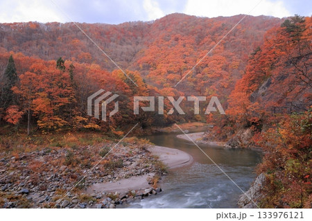 南会津 舘岩川沿いの紅葉 南会津 舘岩川沿いの紅葉 133976121