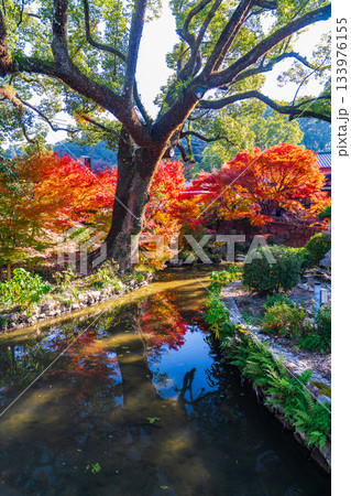 伊射波神社の風景 133976155