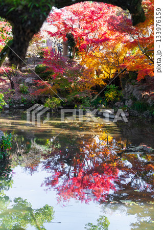 伊射波神社の風景 伊射波神社の風景 133976159