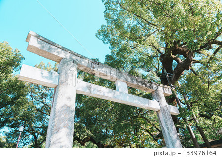 伊射波神社の風景 伊射波神社の風景 133976164
