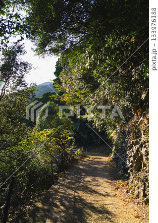 伊射波神社の風景 伊射波神社の風景 133976188