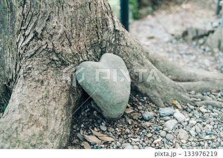 伊射波神社の風景 伊射波神社の風景 133976219
