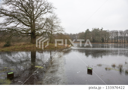 High water frozen at Monnikenberg Estate in Hilversum showing stillness in nature during winter 133976422