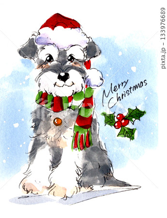 冬のクリスマスを楽しむシュナウザーの水彩イラスト 133976689