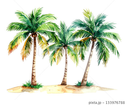 3本のヤシの木の水彩イラスト 3本のヤシの木の水彩イラスト 133976788