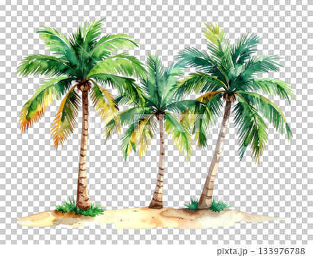 Three palm trees watercolor illustration 133976788