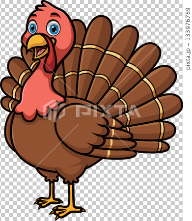 Cute cartoon turkey on white background 133976789