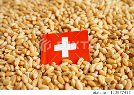 Russia flag on grain wheat, trade export and economy concept. 133977417