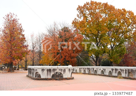 本庄総合公園の秋の風景 本庄総合公園の秋の風景 133977487