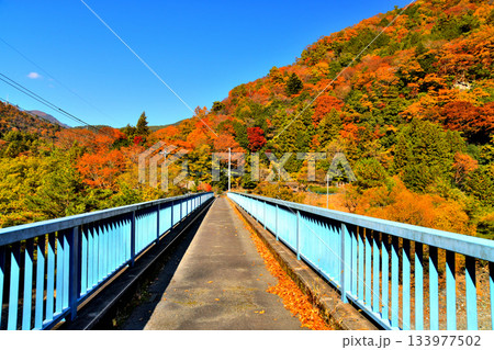 中之島橋／早川周辺(山梨県早川町)【2025.11】 133977502
