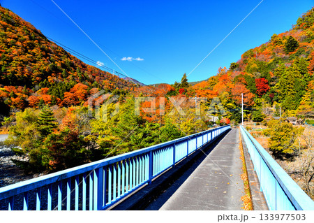 中之島橋／早川周辺(山梨県早川町)【2025.11】 133977503