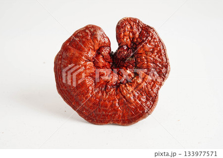 Lingzhi or Reishi mushroom with capsules, organic natural healthy food. Lingzhi or Reishi mushroom with capsules, organic natural healthy food. 133977571