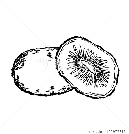 Vivid handdrawn image showcasing kiwi with seeds and fuzzy exterior 133977711