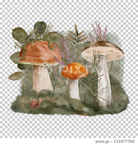 Peaceful mushroom scene, Tranquil watercolor depicting fungi among foliage 133977760