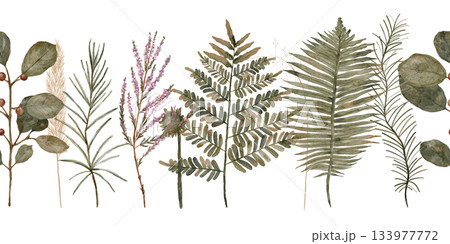 Chic botanical illustration highlighting eucalyptus and palms 133977772