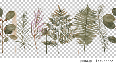 Chic botanical illustration highlighting eucalyptus and palms 133977772