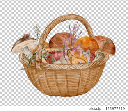 autumnthemed forest mushroom artwork, handcrafted watercolor scene of woodland fungi in fall colors 133977819