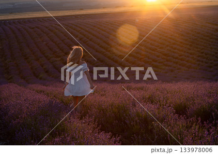 Woman lavender sunset walking through expansive purple field at golden hour. 133978006