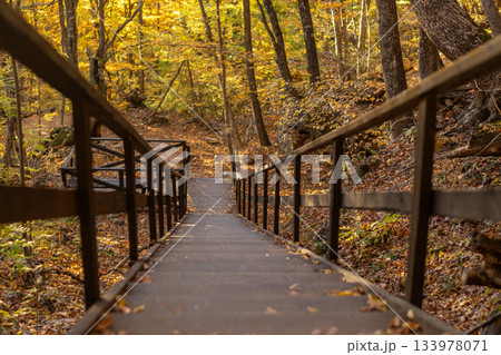 Autumn forest staircase, a beautiful wooden path descends through golden trees in a peaceful park. Autumn forest staircase, a beautiful wooden path descends through golden trees in a peaceful park. 133978071