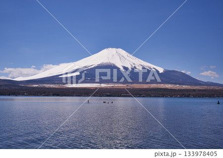 山梨県　早春の富士山と山中湖 133978405