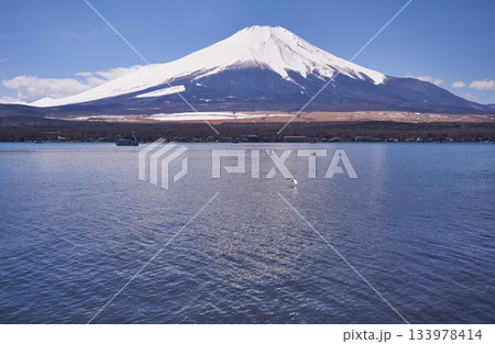 山梨県　早春の富士山と山中湖 133978414