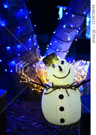 本庄市マリーゴールドの丘イルミネーション 133978649