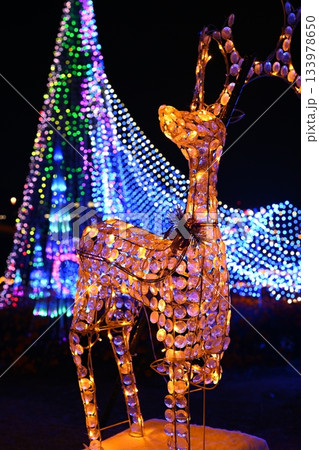 本庄市マリーゴールドの丘イルミネーション 本庄市マリーゴールドの丘イルミネーション 133978650