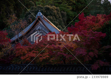 京都の紅葉 京都の紅葉 133978989