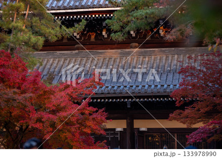 京都の紅葉 京都の紅葉 133978990