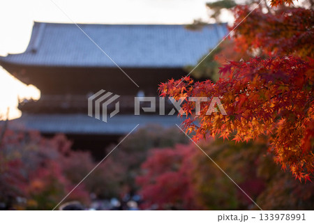 京都の紅葉 京都の紅葉 133978991
