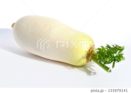 大根(味いちばん大根) 大根(味いちばん大根) 133979141