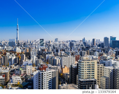 東京 スカイツリーと文京区・墨田区周辺 東京 スカイツリーと文京区・墨田区周辺 133979164