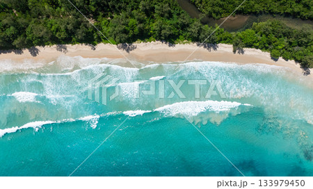 A turquoise sea with gentle waves reaching a sandy shore bordered by lush greenery. Grand Anse. Seychelles, Mahe. A turquoise sea with gentle waves reaching a sandy shore bordered by lush greenery. Grand Anse. Seychelles, Mahe. 133979450