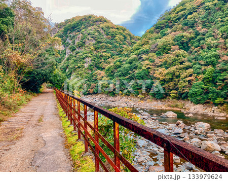 武田尾廃線跡の紅葉と武庫川 武田尾廃線跡の紅葉と武庫川 133979624