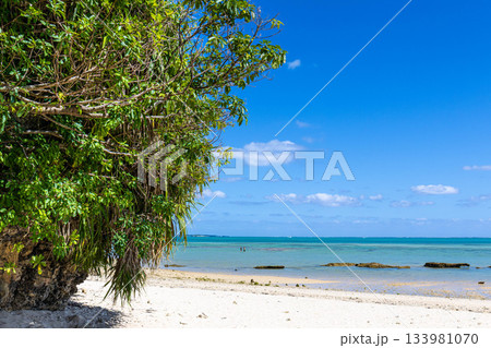 白い砂浜と美しい海 133981070