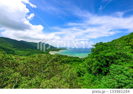 石垣島の緑豊かな山々と青い海が広がる絶景パノラマ風景 133981284