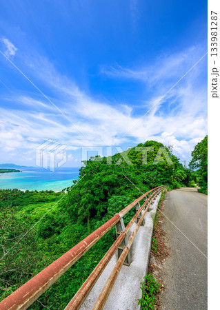 亜熱帯の自然が息づく石垣島で見渡す美しい海と山の風景 133981287