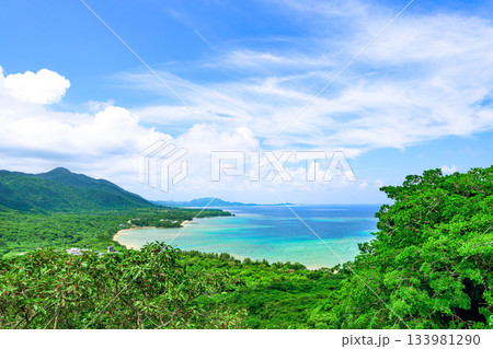 深い緑の森とエメラルドブルーの海が輝く石垣島の絶景パノラマ風景 深い緑の森とエメラルドブルーの海が輝く石垣島の絶景パノラマ風景 133981290