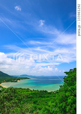 深い緑の森とエメラルドブルーの海が輝く石垣島の絶景パノラマ風景 深い緑の森とエメラルドブルーの海が輝く石垣島の絶景パノラマ風景 133981292