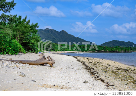 緑の山並みと青空が美しい石垣島の海辺で過ごす夏の時間 緑の山並みと青空が美しい石垣島の海辺で過ごす夏の時間 133981300