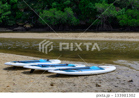 石垣島のマングローブの川辺に並ぶスタンドアップパドルボード 133981302