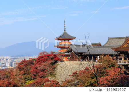 京都　秋の清水寺　紅葉と三重塔 (京都府京都市東山区) 133981497