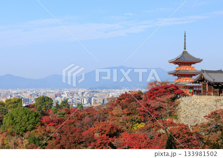 京都　秋の清水寺　紅葉と三重塔 (京都府京都市東山区) 133981502